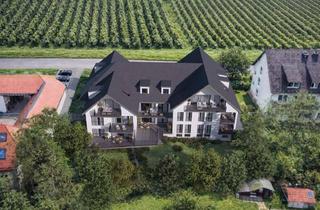 Wohnung kaufen in 65396 Walluf, Neubau in Walluf: Exklusive und barrierefreie Eigentumswohnung in idyllischer Lage im Rheingau