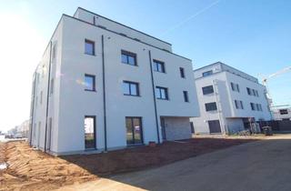 Wohnung mieten in Ahornweg 19, 52388 Nörvenich, Moderne Wohnung mit Aufzug und TG-Stellplatz im Vicus Quartier
