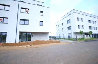 Wohnung mieten in Ahornweg 19, 52388 Nörvenich, Moderne Wohnung mit Aufzug und TG-Stellplatz im Vicus Quartier
