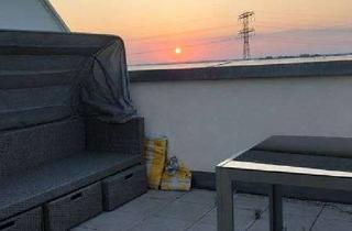 Wohnung mieten in Martin-Riesenburger-Straße 36, 12627 Hellersdorf, Schöne 3-Zimmer-Wohnung zu vermieten Mietbeginn 01.08.2026 mit Terrasse