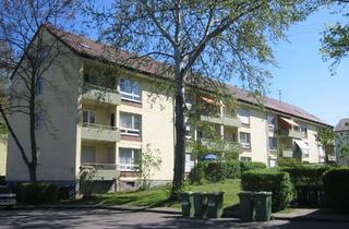 Wohnung mieten in Falkenweg 32, 71634 Ludwigsburg, Ludwigsburg - 3-Zi.-Wohnung mit Balkon