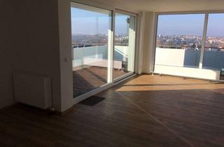 Penthouse mieten in Lemberger Straße 296-298, 66955 Erlenbrunn, Neuwertige Penthouse-Wohnung mit drei Zimmern/Küche/Bad in Pirmasens/Ruhbank