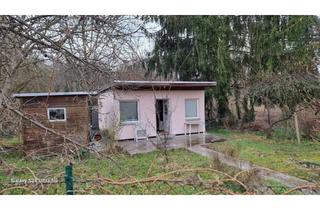 Haus kaufen in 15526 Bad Saarow, Ihr Logenplatz im Grünen: Wo die Zeit am Petersdorfer See stillsteht