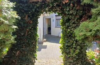 Haus kaufen in Mühlenstrasse 54, 06366 Köthen, Vielfältig nutzbares Haus mit kleiner Oase!