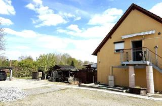 Haus kaufen in 76779 Scheibenhardt, Haus mit großem Grundstück und Bauplatz in Scheibenhart – direkt an der Grenze