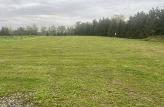 Bauernhaus kaufen in 04931 Mühlberg, Pferdeliebhaber aufgepasst - Ehemaliger Bauernhof mit Grünland