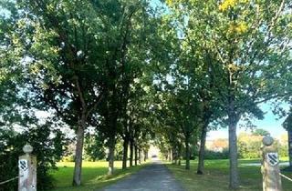Haus mieten in 37127 Niemetal, Modernes Reihenhaus auf einem idyllischen Rittergut zwischen Göttingen und Dransfeld