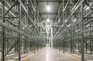 Gewerbeimmobilie mieten in 76437 Rastatt, Neubauhalle **Produktions-/ Lager-/ Logistikflächen **provisionsfreie Vermietung**