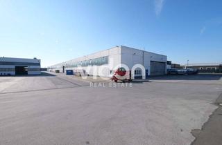 Gewerbeimmobilie mieten in 40764 Langenfeld, HALLE | BÜRO | 15 EBENERDIGE TORE | VIDAN REAL ESTATE