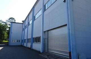 Büro zu mieten in 63150 Heusenstamm, 850 m² Lager-/Produktions-/ Büro-/ Serviceflächen zu vermieten