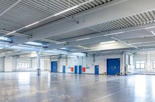 Gewerbeimmobilie mieten in Schultheiß-Seeber-Straße 1.6, 74177 Bad Friedrichshall, Effizient nutzbare Industriehalle in Bad Friedrichshall