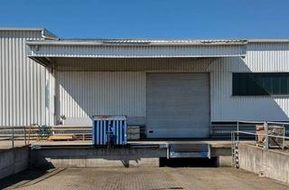 Büro zu mieten in Pfälzer Ring 12-14, 68766 Hockenheim, Gewerbeobjekt Büro- Hallen- und Freifläche