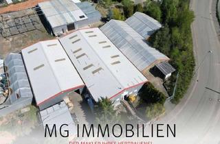 Gewerbeimmobilie kaufen in 66877 Ramstein-Miesenbach, MG - Ramstein: Gewerbefläche mit modernen Lagerhallen