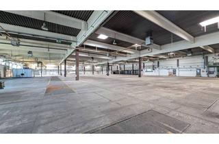 Gewerbeimmobilie mieten in Auefeld, 34346 Hann. Münden, Flexible Gewerbeflächen für Produktion, Handwerk, Sport, Event, Dienstleistung in strategischer Lage