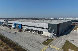 Gewerbeimmobilie mieten in 14979 Großbeeren, kurzfristig - ca. 24.000 m² Logistikfläche - teilbar