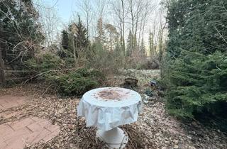 Grundstück zu kaufen in 01445 Radebeul, Eigentumsgarten / Wochenendgrundstück mit Bungalow in Radebeul