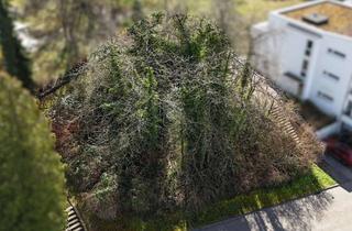 Grundstück zu kaufen in 79539 Lörrach, Großzügiges Hanggrundstück mit Panorama-Weitblick