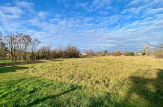 Grundstück zu kaufen in 39240 Groß Rosenburg, 7.815 m² Baugrundstück mit Entwicklungspotenzial - teilbar in bis zu 10 Parzellen