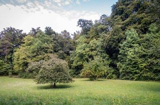 Grundstück zu kaufen in 16348 Wandlitz, Ruhiges Baugrundstück in Stolzenhagen: Bis 1238 qm in Seenähe und direkt am Wald