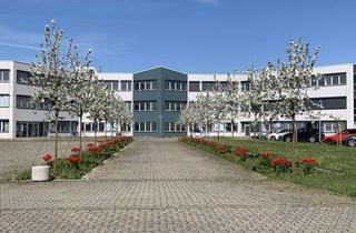 Büro zu mieten in Kesseldorfer Rott 24, 46499 Hamminkeln, Bürofläche im Gewerbegebiet Hamminkeln Nord