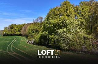 Gewerbeimmobilie kaufen in 85110 Kipfenberg, ** Attraktives Waldgrundstück für Liebhaber und Investoren – vielseitig nutzbar **