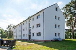 Wohnung mieten in Witzlebenstraße 79, 29223 Celle, Moderne Dachgeschosswohnung in Celle Klein Hehlen!