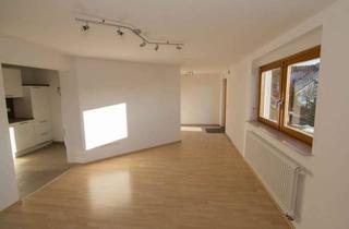 Wohnung mieten in 63589 Linsengericht, Ruhig gelegene Single-Souterrainwohnung