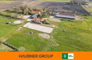 Haus kaufen in 26487 Neuschoo, Exklusive Reitanlage mit 45.000 m² – wirtschaftlich etabliert & sofort übernehmbar