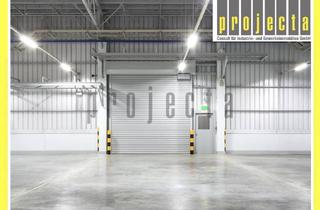 Gewerbeimmobilie mieten in 64832 Babenhausen, JETZT SICHERN ! Lager-/Produktionshalle * 8m UKB * Flexibel teilbar