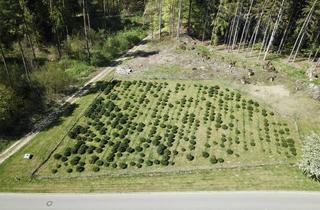 Grundstück zu kaufen in 91349 Egloffstein, Waldrandlage Bieberbach: 2.062 m² Baugrundstück – Natur-Logenplatz mit Bauvorbescheid