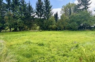 Grundstück zu kaufen in 06120 Halle, Einzigartige Baugrundstücke in Premiumlage – Halle-Dölau / Blumenau -Nähe Waldstrassensiedlung