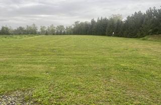 Garagen kaufen in 04931 Mühlberg, Pferdeliebhaber aufgepasst - Ehemaliger Bauernhof mit Grünland
