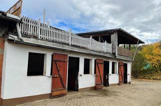Immobilie kaufen in 38723 Seesen, Landhaus in Alleinlage, ideal für idyllisches Landleben mit Tierhaltung und Selbstversorgung.