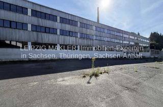 Gewerbeimmobilie kaufen in Klingenthaler Straße 23e, 08262 Tannenbergsthal, Mehrgeschossige Gewerbehalle mit ca. 6.000 m² Nutzfläche und großem Grundstück (16.838 m²), flexibel nutzbar