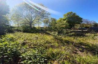 Grundstück zu kaufen in 47877 Willich, Baugrundstück in Willich Neersen naturhahe Lage an der Niers mit Potenzial