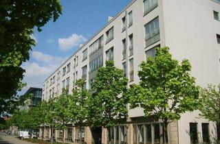 Wohnung mieten in Am Brauhaus 10, 01099 Dresden, Ab Mitte August 2026: Singlewohnung mit Laminatboden & Badewanne im Waldschlösschenareal