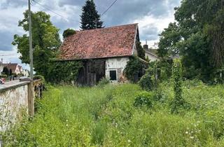 Haus kaufen in 76774 Leimersheim, Leimersheim - Abrissgrundstück am Ehrlenbach- Neubau möglich