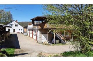 Bauernhaus kaufen in 38723 Seesen, Seesen - Bauernhof im Landkreis Goslar in Alleinlage