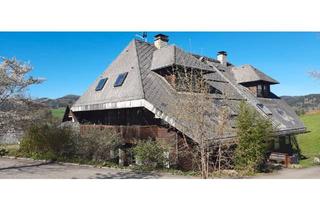 Wohnung kaufen in 79872 Bernau, Bernau im Schwarzwald - Kleine, feine Wohnung im Bernauer Hochtal