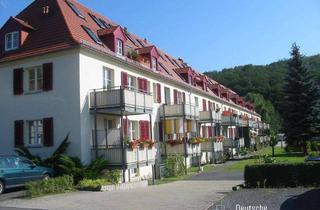 Wohnung kaufen in Robert-Schumann-Platz, 01796 Pirna, Tolle Kapitalanlage oder auch zum Eigennutz in grüner Lage