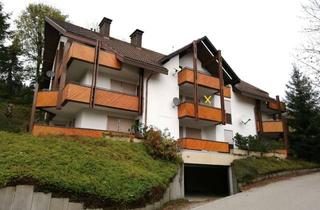 Wohnung kaufen in Rüttestr. 29, 79674 Todtnau, möblierte Ferienwohnung in Todtnauberg, Toplage bei Skilift und Wandergebiet
