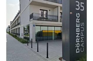 Wohnung mieten in Ladehofstraße 35, 93049 Westenviertel, Wunderschönes, modernes 1-Zimmer-Apartment im Dörnberg Campus