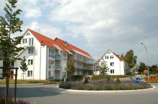 Wohnung mieten in 32839 Steinheim, Seniorengerechte 2-Zimmer-Wohnung - barrierefrei -