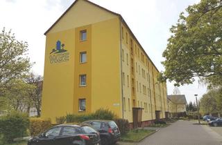 Wohnung mieten in Rosa-Luxemburg-Str. 56, 04838 Eilenburg, Modern renovierte 2-Zimmer-Wohnung mit Dusche