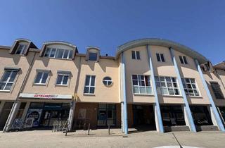 Wohnung mieten in Frauensteiner Straße 23 B, 09599 Freiberg, moderne und individuelle 4 Raumwohnung im 1.OG in zentraler Lage