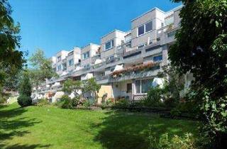 Wohnung mieten in Walsroder Straße 92, 30853 Langenhagen, Renovierte 2-Zimmer-Wohnung mit großer Terrasse