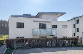 Wohnung mieten in 74889 Sinsheim, Helle 2-Zimmer-Wohnung mit Balkon in ruhiger Lage!