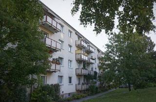 Wohnung mieten in Hanewald, 15230 Frankfurt, 3-Zimmer-City-Wohnung mit Balkon ganz nah der Oder