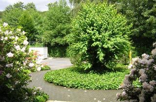 Wohnung mieten in Crimmitschauer Str. 131 e, 08058 Weißenborn, Klein aber mein: 2-Zimmer-Dachgeschosswohnung mit Terrasse