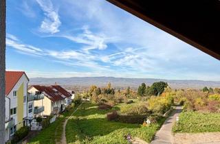 Wohnung mieten in 55218 Ingelheim, Lichtdurchflutete 4 Zimmer-Dachgeschoss Wohnung in unverbauter Feldrandlage in Ingelheim am Rhein